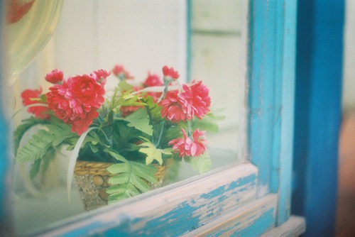 如果你开在我窗前  窗台和植物的绝妙搭配_WWW.TQQA.COM