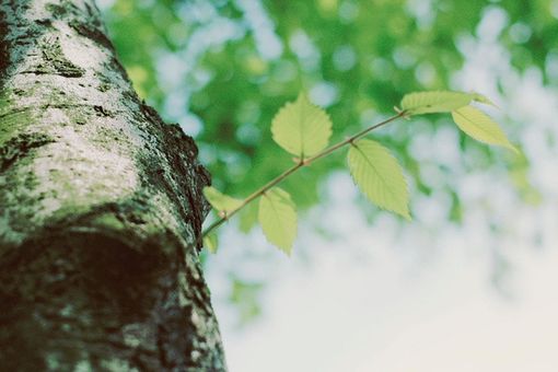 不得不承认，岁月是一本太仓促的书_WWW.TQQA.COM