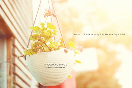 幸福是每一个当下的选择_WWW.TQQA.COM