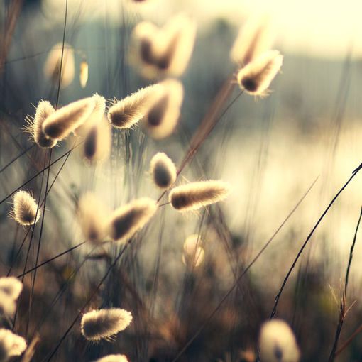 蓦然回首，才发现人活着是一种心情_WWW.TQQA.COM