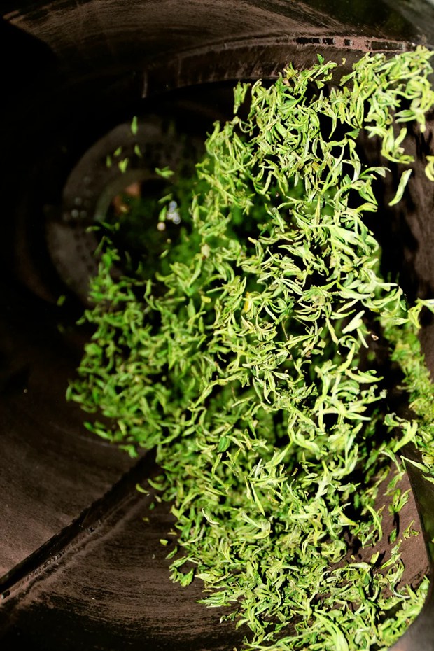 唯美高清的茶叶与茶园的美图图片_WWW.TQQA.COM