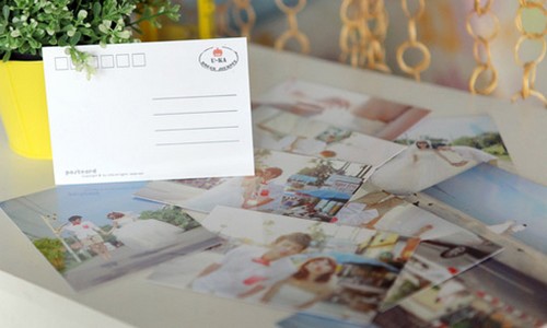 若我们分离我在向日葵花海等你_WWW.TQQA.COM