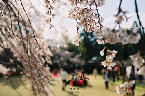 在那样的年华里，我们曾经遇见谁_WWW.TQQA.COM