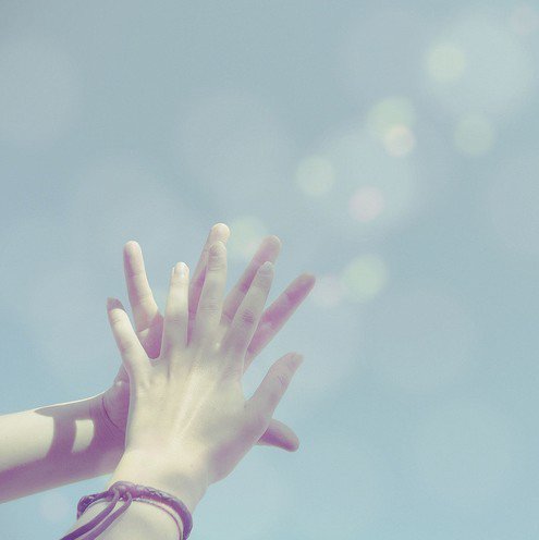 原来，海鸟跟鱼相爱，永远只是一场意外 -小清新_WWW.TQQA.COM