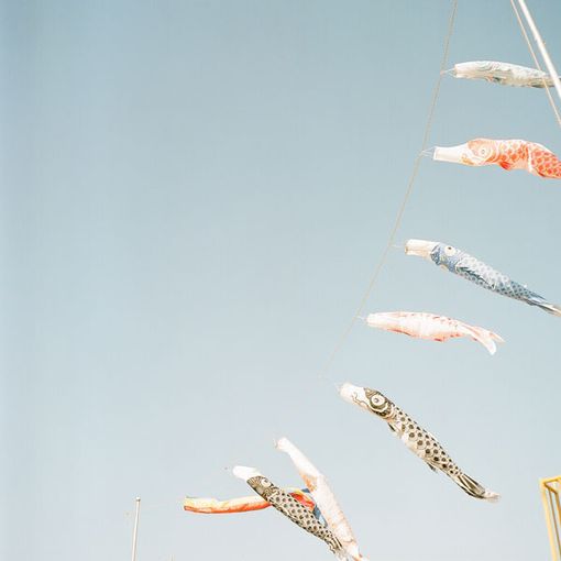 鲤帜_WWW.TQQA.COM