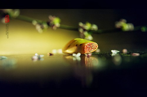 唯美的中国风静物写真_WWW.TQQA.COM