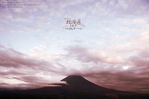 北海道日系小清新摄影图片分享_WWW.TQQA.COM