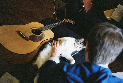 美图：爱猫的人都有一个细腻的灵魂_WWW.TQQA.COM
