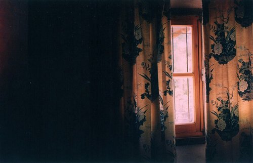 褪尽了风华后，我依然在彼岸守护你_WWW.TQQA.COM