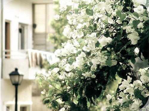 出发，才能到达_WWW.TQQA.COM