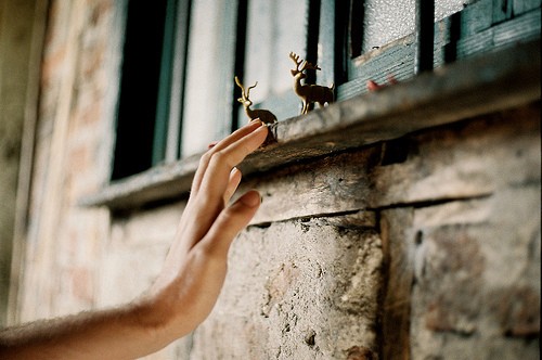 从今后，你是锦瑟，我为流年_WWW.TQQA.COM