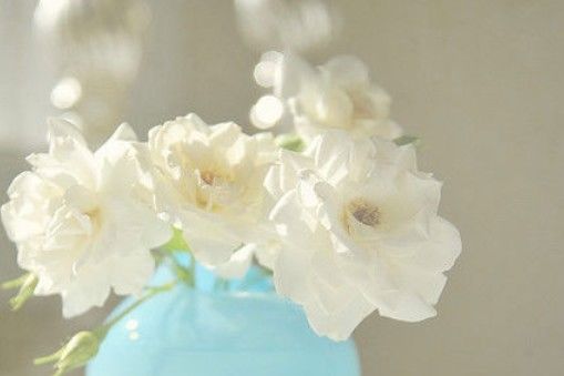 在自己心中盖了座花园_WWW.TQQA.COM