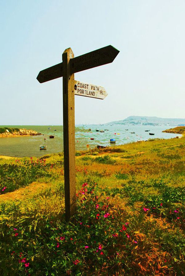 唯美的路标与路牌意境图片_WWW.TQQA.COM