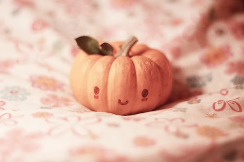 时光还在，你还在 暖色调治愈系图片_WWW.TQQA.COM