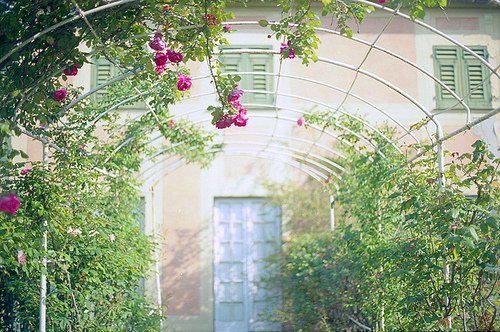 我要的就是春暖花开_唯美图片_WWW.TQQA.COM