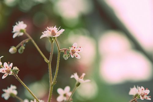 在自己心中盖了座花园_WWW.TQQA.COM