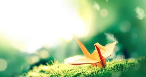 一组温暖入心的千纸鹤题材美图_WWW.TQQA.COM