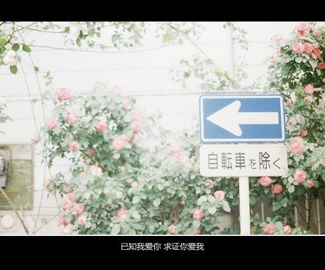 总会有不期而遇的温暖_WWW.TQQA.COM