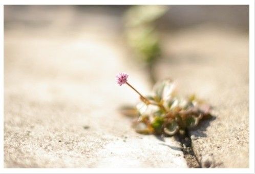 蓦然回首，才发现人活着是一种心情_WWW.TQQA.COM