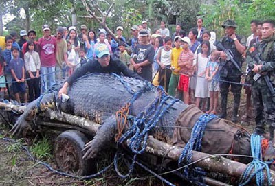 世界上最大的鳄鱼,长6.7米重达一吨_WWW.TQQA.COM