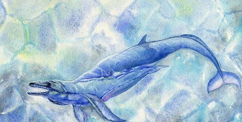 龙王鲸,远古海洋灭绝的巨兽_WWW.TQQA.COM