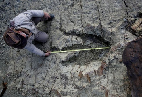 史前巨型肉食性恐龙1.2米的大脚印_WWW.TQQA.COM