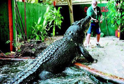 世界上最大的鳄鱼,长6.7米重达一吨_WWW.TQQA.COM
