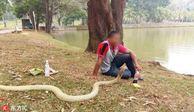 男子与眼镜蛇其同吃同住，坚称是女友转世_WWW.TQQA.COM