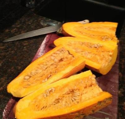 16年婴儿胚胎降生，800年南瓜种子结果_WWW.TQQA.COM