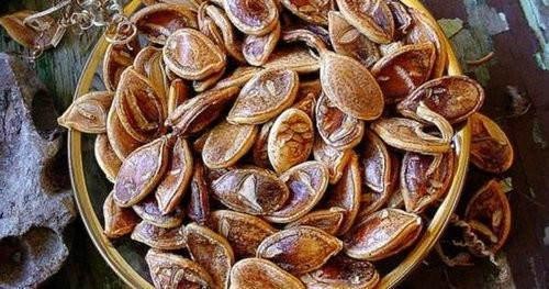 16年婴儿胚胎降生,800年南瓜种子结果_WWW.TQQA.COM