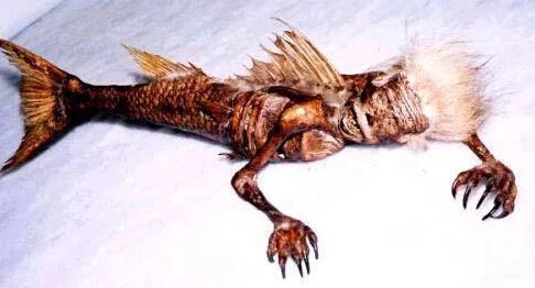 26个惊天谜团，科学也无法解释！_WWW.TQQA.COM