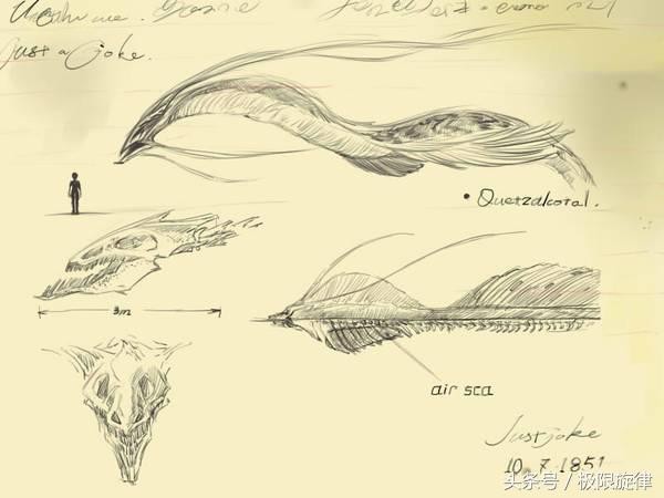 探索龙的真面目_WWW.TQQA.COM
