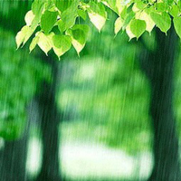意境静物头像大全:外拍自然风景摄影QQ群头像_WWW.TQQA.COM