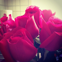 花的世界:唯美静态高清非人物头像:还你一个小清_WWW.TQQA.COM