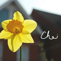 幸福的人是你:唯美清新静态头像:我是你的小太阳_WWW.TQQA.COM