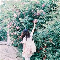 森系带花女生头像:赠人玫瑰:手有余香_WWW.TQQA.COM