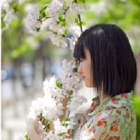 意境风森系唯美头像:爱上一种风叫意境风_WWW.TQQA.COM