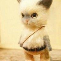 可爱猫咪qq头像:猫咪卖萌无罪_WWW.TQQA.COM