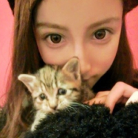 一男一女抱着小猫的QQ情侣头像:爱情就像候鸟_WWW.TQQA.COM
