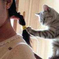 抱着猫咪的女生头像:可爱妹子万人疼_WWW.TQQA.COM