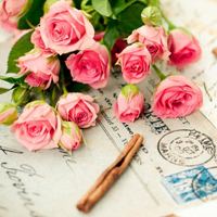 爱情就像凋落的玫瑰:静物唯美头像:花的世界_WWW.TQQA.COM