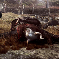 巫师2头像:探索新的世界_WWW.TQQA.COM