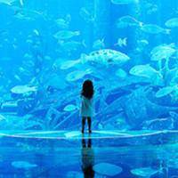 海边背影唯美女生QQ头像:海天连一线_WWW.TQQA.COM