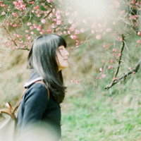 陪你度过四季永不分离:对着阳光的唯美高清大头_WWW.TQQA.COM