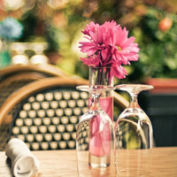 爱情就像凋落的玫瑰:静物唯美头像:花的世界_WWW.TQQA.COM