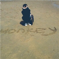 浪漫有意境的情侣头像_WWW.TQQA.COM