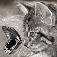 可爱猫猫qq头像:家里有只卖萌猫猫_WWW.TQQA.COM