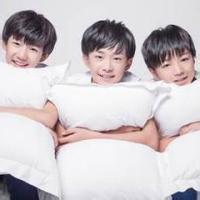qq头像图片男生四叶草_WWW.TQQA.COM