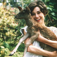 女生头像吧:蛇年精选可爱女生QQ头像:可爱就是无_WWW.TQQA.COM