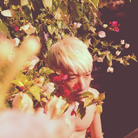欧美男生头像成熟:伤感:对着情花轻轻叹_WWW.TQQA.COM